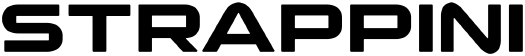 logo-Strappini